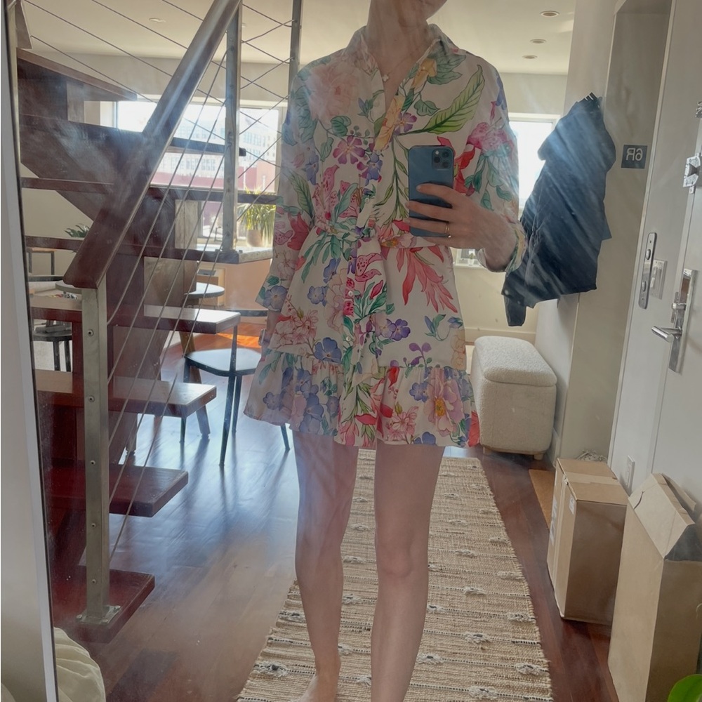 Zara Multicolor Floral Mini Dress